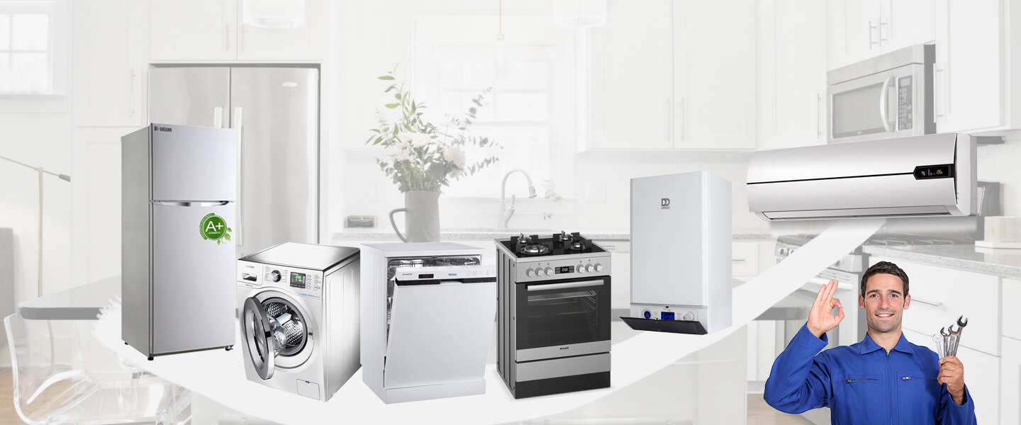 Eskiizmir Electrolux Servisi